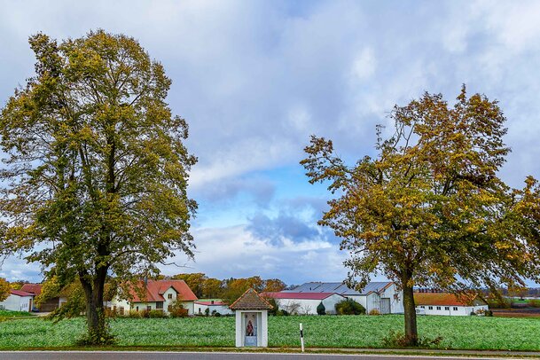 Thumbnail: 26_JA_1622 Andrebauer.jpg